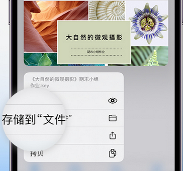 武山apple维修中心分享iPhone文件应用中存储和找到下载文件