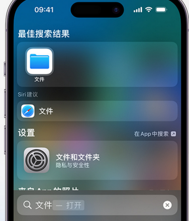 武山apple维修中心分享iPhone文件应用中存储和找到下载文件 