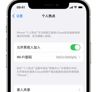 武山apple服务站点分享iPhone上个人热点丢失了怎么办