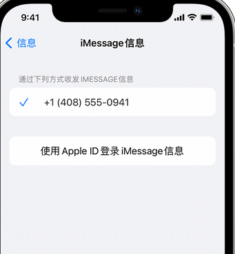 武山apple维修iPhone上无法正常发送iMessage信息 