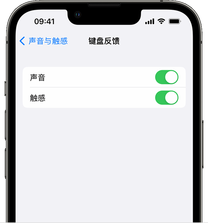 武山苹果14维修店分享如何在 iPhone 14 机型中使用触感键盘 