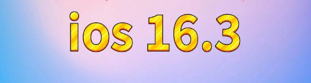 武山苹果服务网点分享苹果iOS16.3升级反馈汇总 