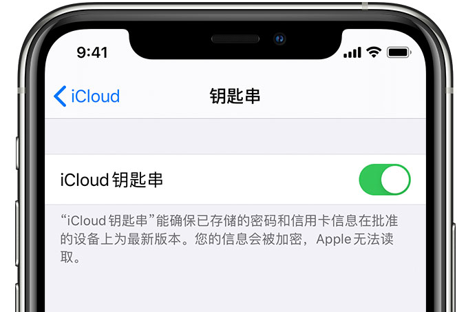 武山苹果手机维修分享在 iPhone 上开启 iCloud 钥匙串之后会储存哪些信息 