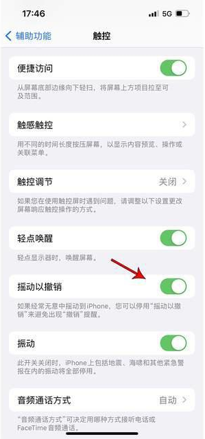 武山苹果手机维修分享iPhone手机如何设置摇一摇删除文字 