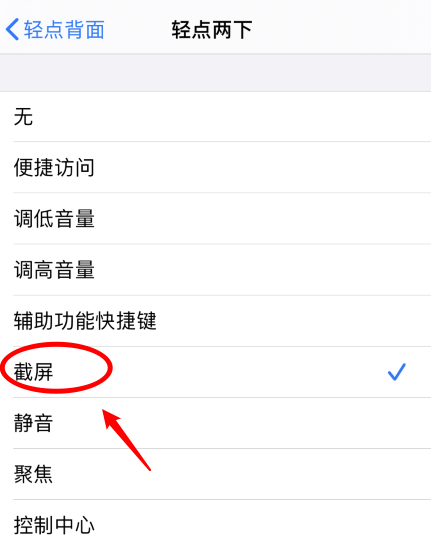 武山苹果手机维修分享iPhone12如何启用双击截屏 