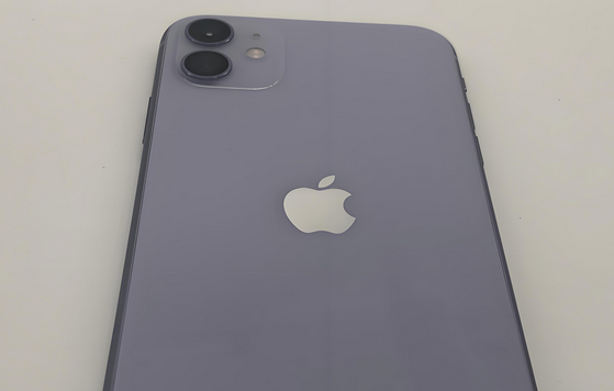 武山苹果11系统维修分享iPhone11手机系统崩溃无法开机如何解决 